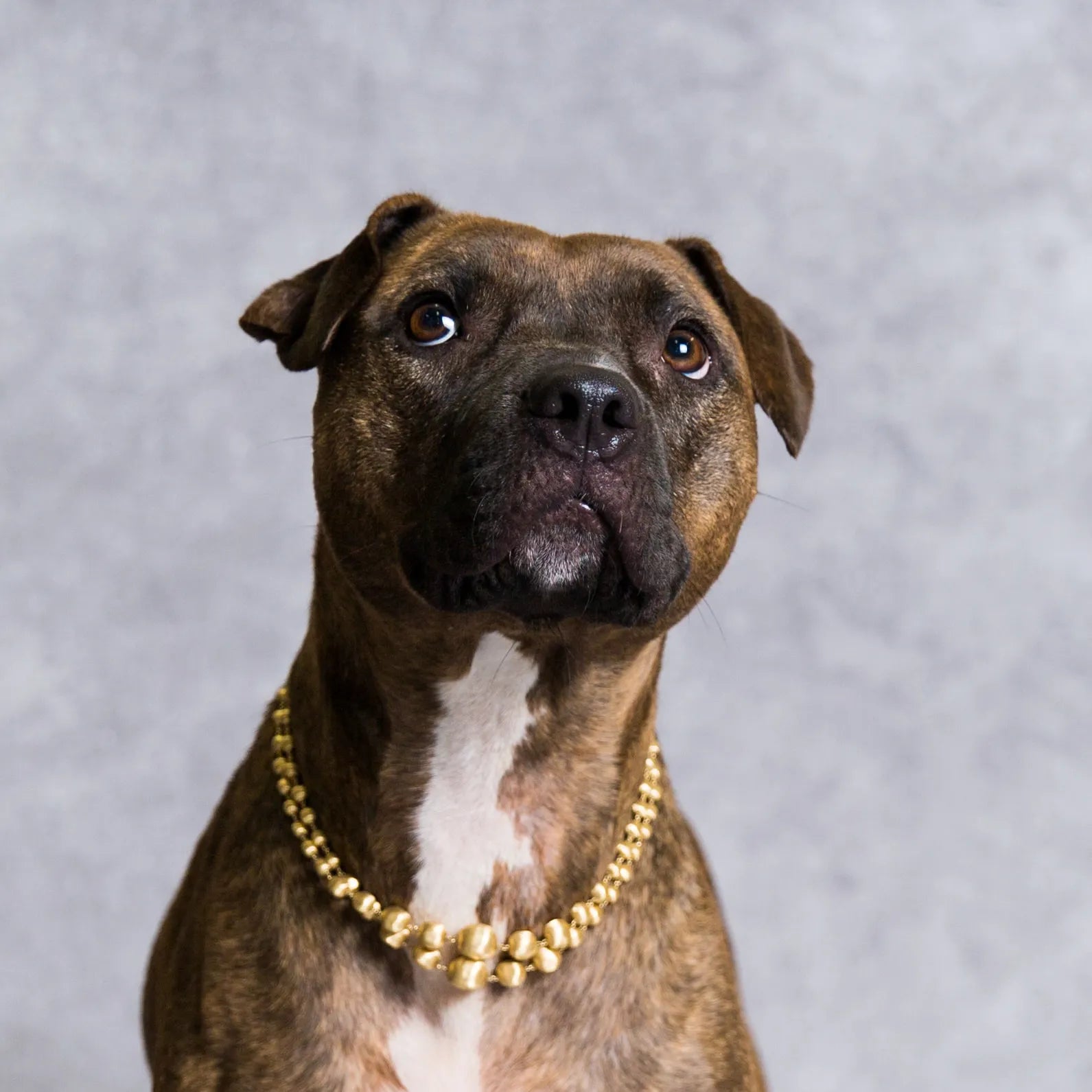 How Schwarzschild Gives Back