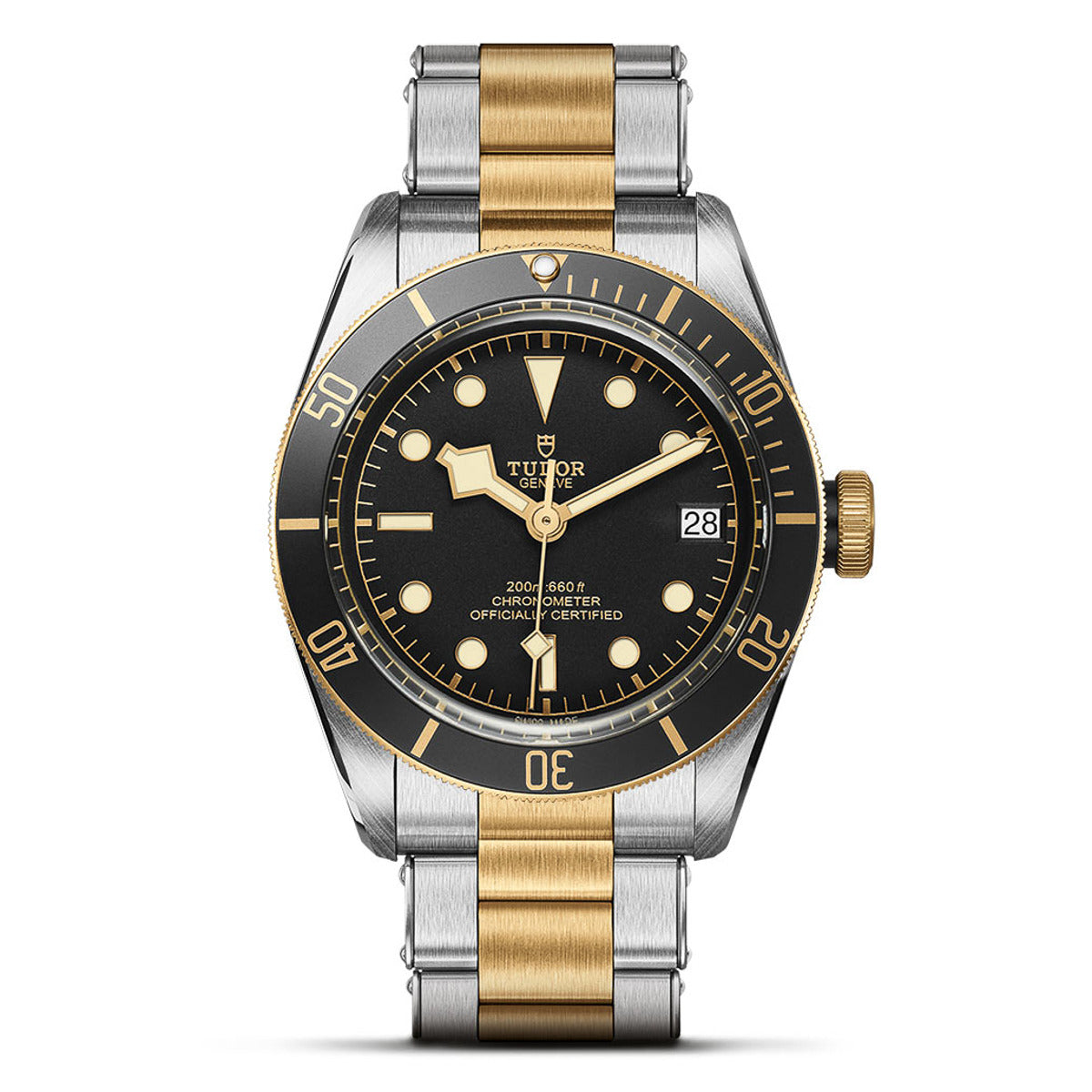 TUDOR Black Bay S&G 41mm - M79733N-0008 at Schwarzschild Jewelers