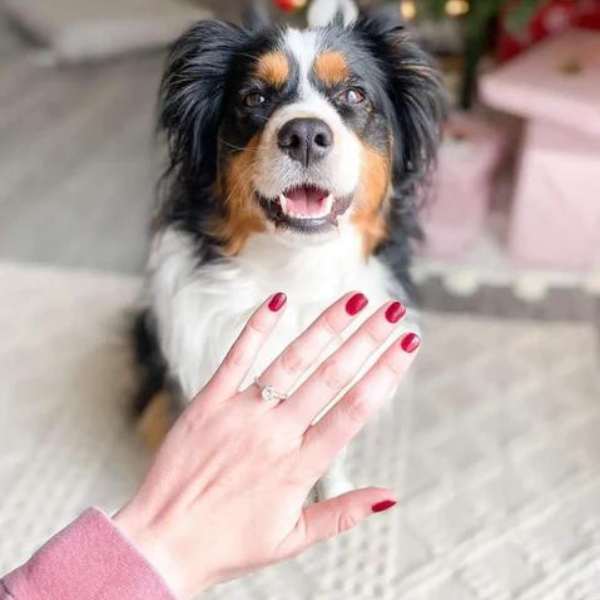 Diamond ring with dog in background