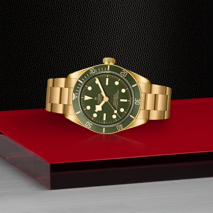 TUDOR Black Bay 58 18k 39mm - M79018V-0006 at Schwarzschild Jewelers