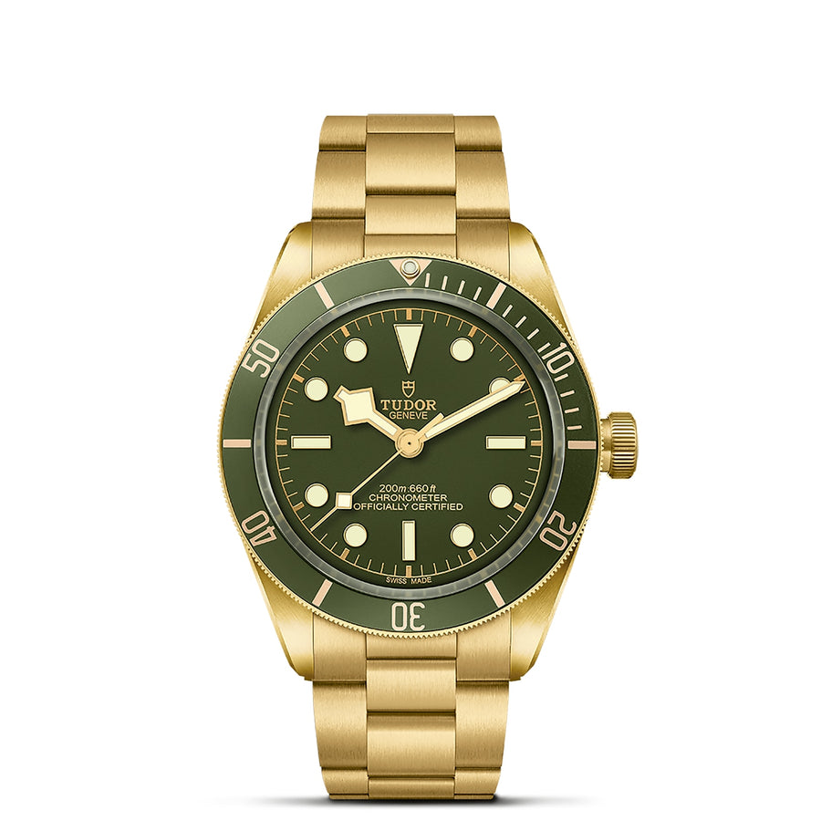 TUDOR Black Bay 58 18k 39mm - M79018V-0006 at Schwarzschild Jewelers