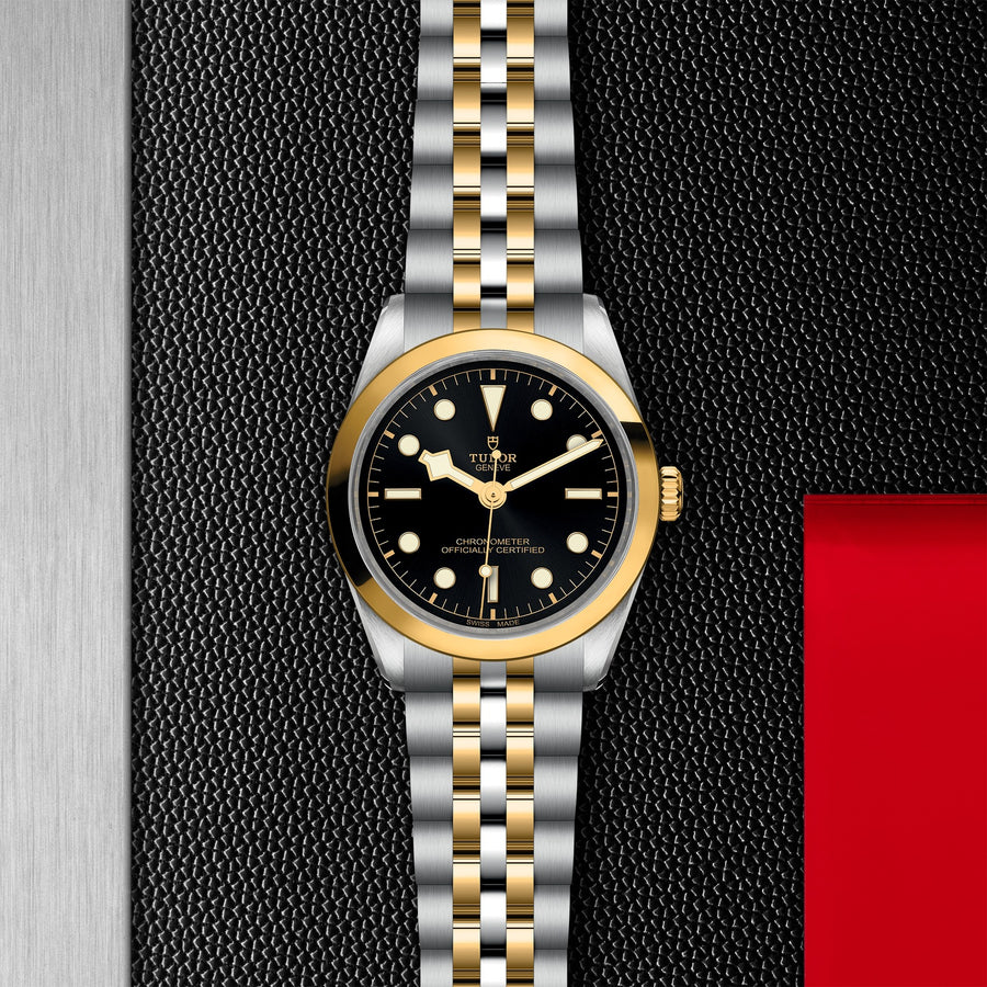 TUDOR Black Bay One 36 S&G 36mm - M79643-0001 at Schwarzschild Jewelers