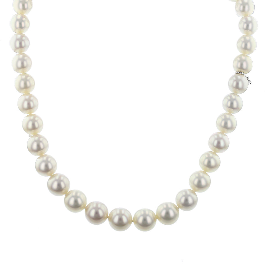 White South Sea Pearl Strand Necklace
