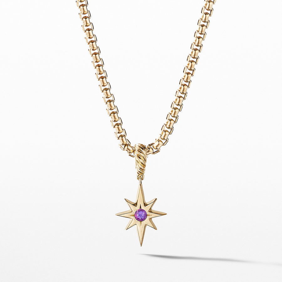 North Star Birthstone Charm in 18K Yellow Gold with Amethyst
