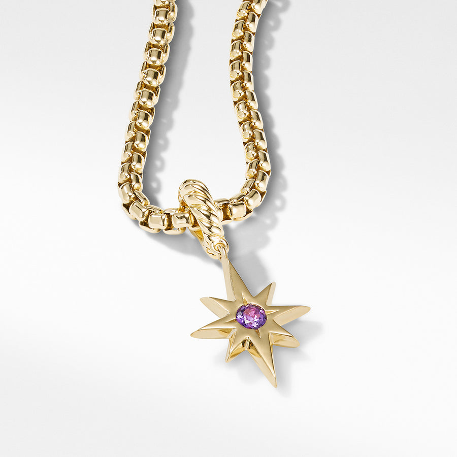North Star Birthstone Charm in 18K Yellow Gold with Amethyst