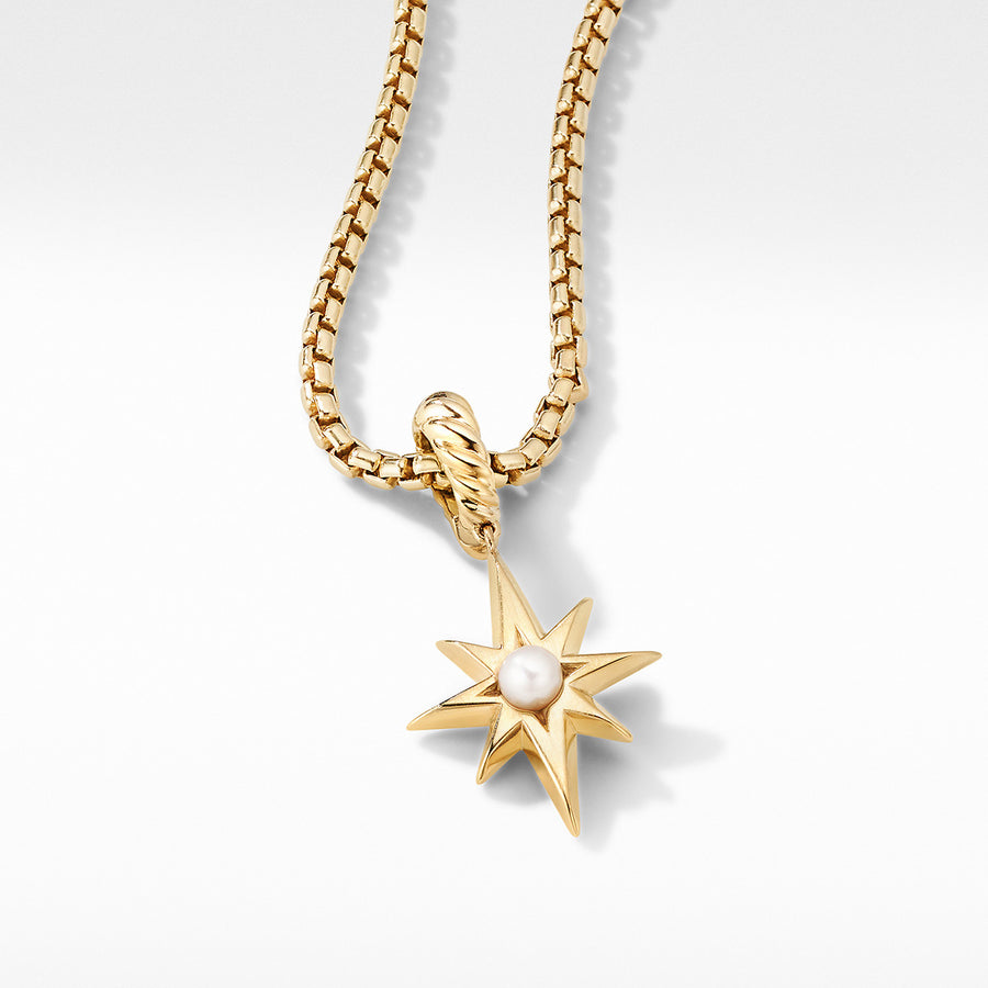 North Star Birthstone Amulet in 18K Yellow Gold with Pearl