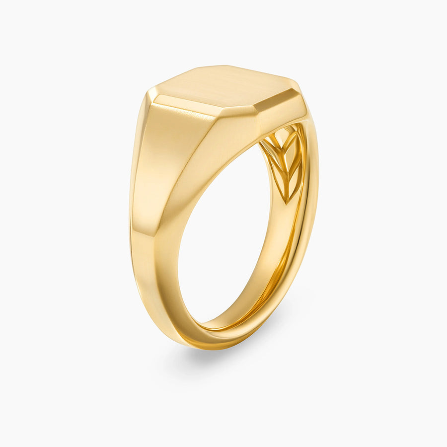 Streamline Signet Ring in 18K Yellow Gold
