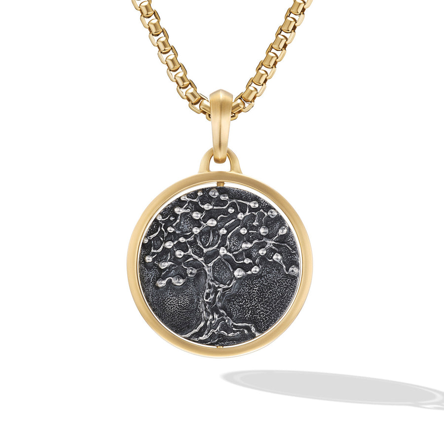Life and Death Duality Amulet in Sterling Silver with 18K Yellow Gold