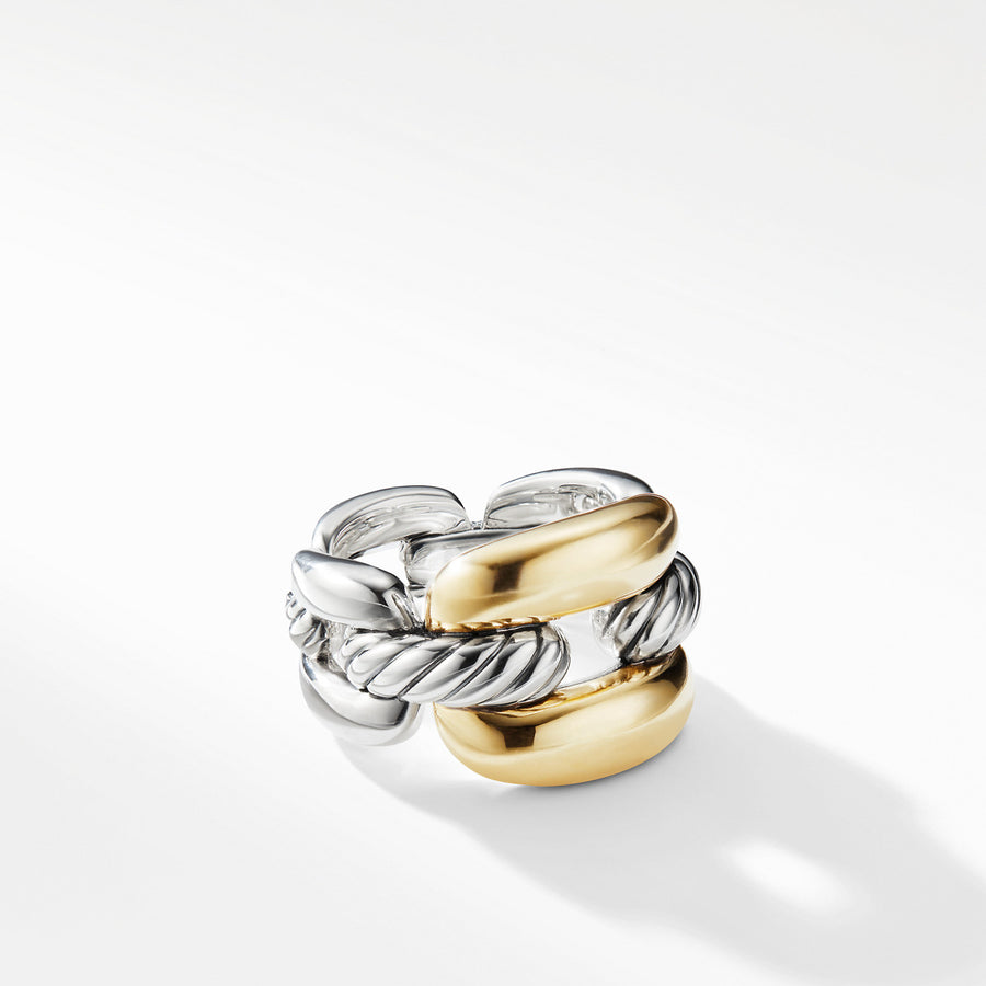 Wellesley Link Large Chain Link Ring with 18K Gold