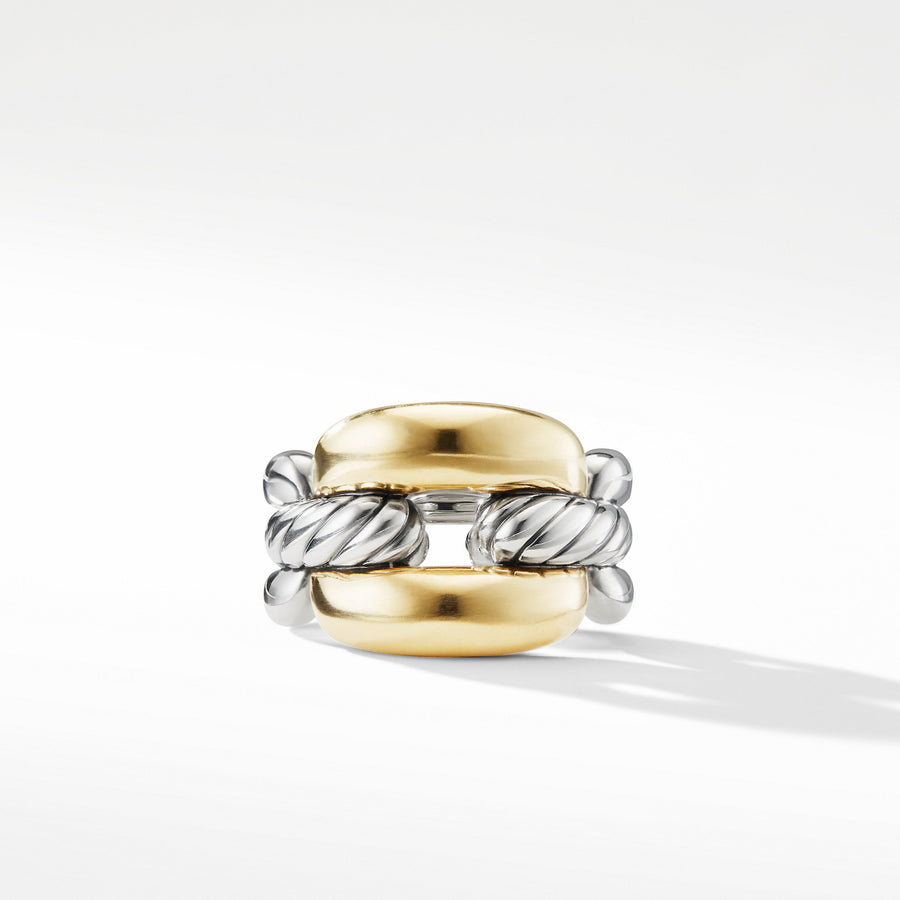 Wellesley Link Large Chain Link Ring with 18K Gold