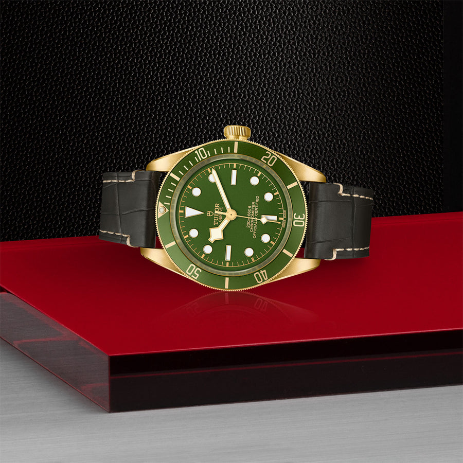 TUDOR Black Bay 58 18k 39mm - M79018V-0001 at Schwarzschild Jewelers