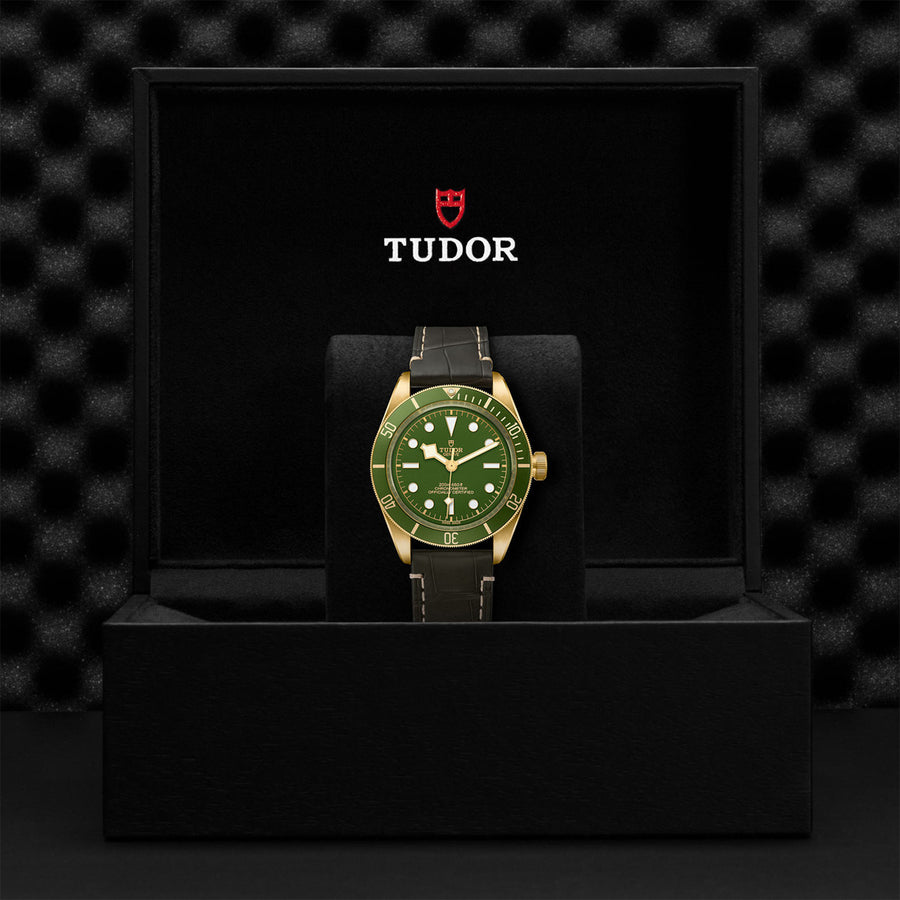 TUDOR Black Bay 58 18k 39mm - M79018V-0001 at Schwarzschild Jewelers