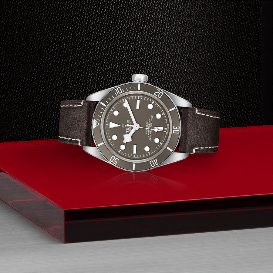 TUDOR Black Bay 58 925 39mm - M79010SG-0001 at Schwarzschild Jewelers