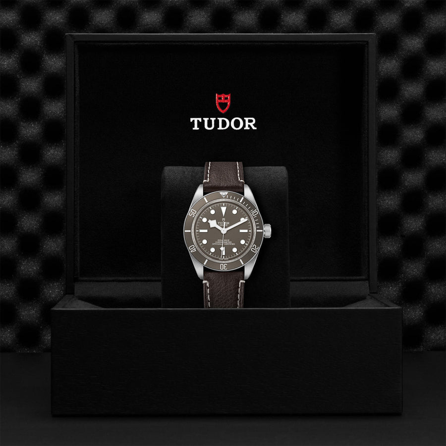 TUDOR Black Bay 58 925 39mm - M79010SG-0001 at Schwarzschild Jewelers