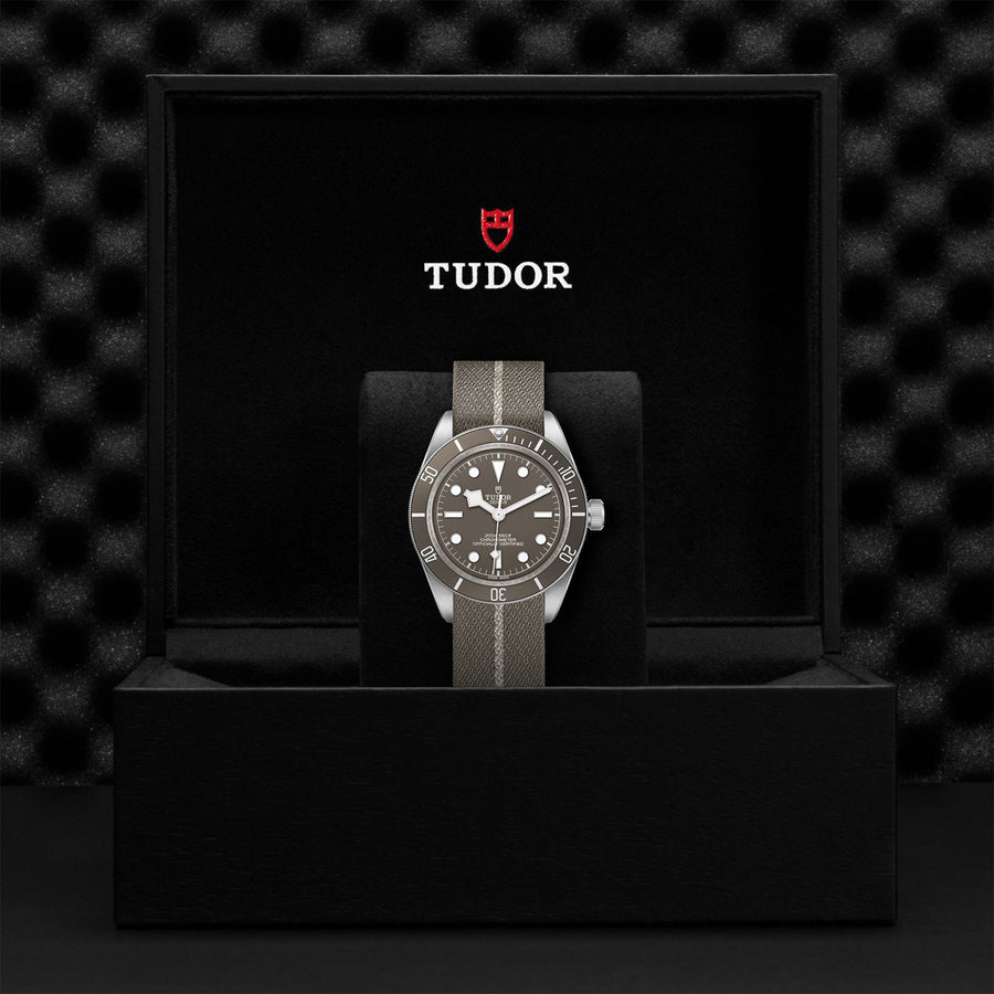 TUDOR Black Bay 58 925 39mm - M79010SG-0002 at Schwarzschild Jewelers