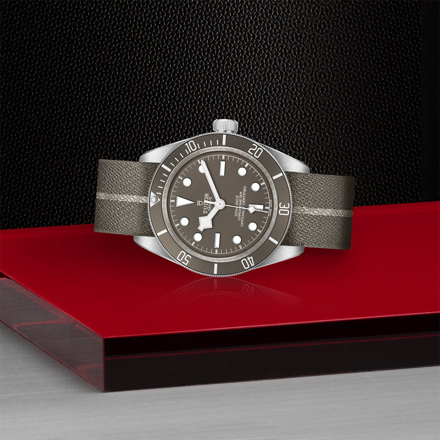 TUDOR Black Bay 58 925 39mm - M79010SG-0002 at Schwarzschild Jewelers