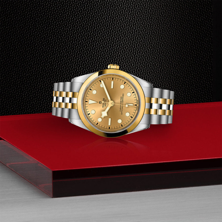 TUDOR Black Bay One 36 S&G 36mm - M79643-0005 at Schwarzschild Jewelers