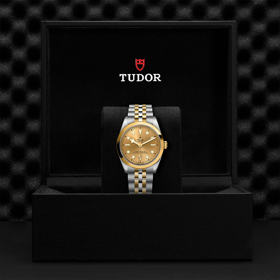 TUDOR Black Bay One 36 S&G 36mm - M79643-0005 at Schwarzschild Jewelers